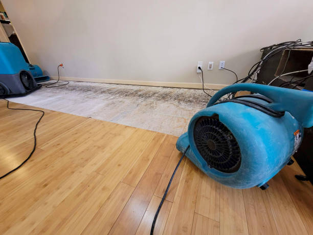 Professional Flood Damage Cleanup technician working in New Home, TX